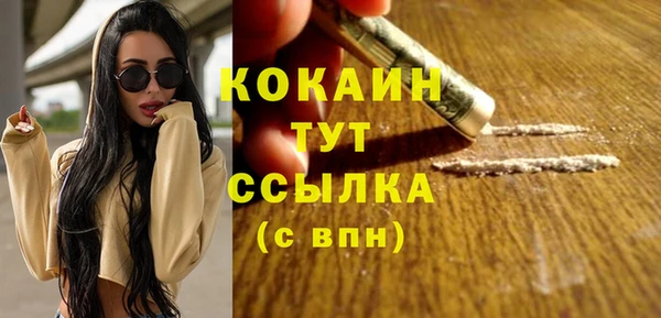 spice Алзамай