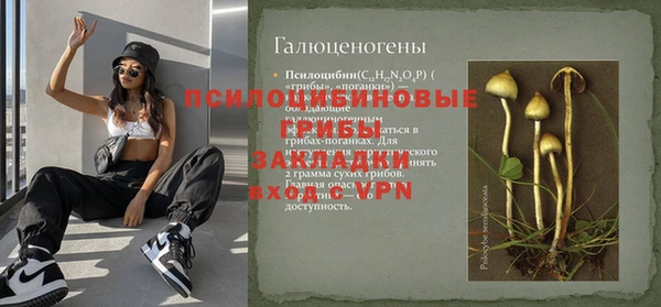 ECSTASY Алексеевка